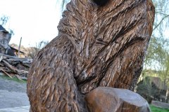 drevorezba-vyrezavani-carving-wood-drevo-socha-figura-medved_grizzly-radekzdrazil-20220415-014