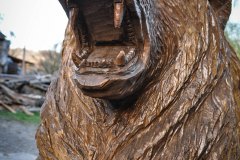 drevorezba-vyrezavani-carving-wood-drevo-socha-figura-medved_grizzly-radekzdrazil-20220415-015