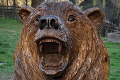 drevorezba-vyrezavani-carving-wood-drevo-socha-figura-medved_grizzly-radekzdrazil-20220415-02