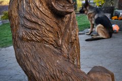 drevorezba-vyrezavani-carving-wood-drevo-socha-figura-medved_grizzly-radekzdrazil-20220415-04