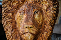 drevorezba-rezbar-lev-vyrezavani-carving-wood-drevo-socha-radekzdrazil-20200615-04