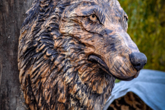 drevorezba-carving-wood-drevo-busta-vlk-hlava-vyrezavani-rezbar-radekzdrazil-20201102-02