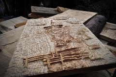 drevorezba-vyrezavani-carving-wood-drevo-socha-lysa-radekzdrazil-20211115-03