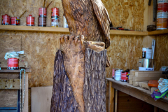 drevorezba-rezbar-vyr-vyrezavani-carving-wood-drevo-socha-radekzdrazil-20200907-02