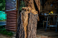 drevorezba-rezbar-vyr-vyrezavani-carving-wood-drevo-socha-radekzdrazil-20200907-03