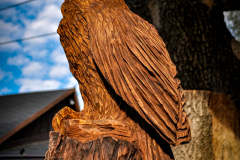 drevorezba-rezbar-vyr-vyrezavani-carving-wood-drevo-socha-radekzdrazil-20200907-04