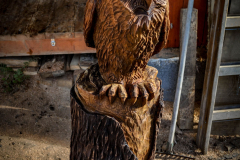 drevorezba-rezbar-vyr-vyrezavani-carving-wood-drevo-socha-radekzdrazil-20200907-06