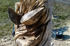 drevorezba-deskovyobraz-ryby-socha-woodcarving-radekzdrazil-20190219-05