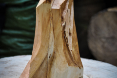 drevorezba-carving-wood-drevo-cena-horeckyfest2019-radekzdrazil-06