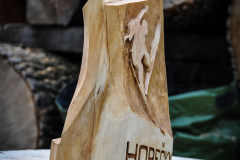 drevorezba-carving-wood-drevo-cena-horeckyfest2019-radekzdrazil-07