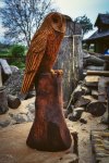 drevorezba-vyrezavani-carving-wood-drevo-socha-figura-busta-sova-radekzdrazil-20221018-03