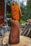 drevorezba-vyrezavani-carving-wood-drevo-socha-figura-busta-sova-radekzdrazil-20221018-07