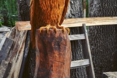 drevorezba-vyrezavani-carving-wood-drevo-socha-figura-busta-sova-radekzdrazil-20221018-01