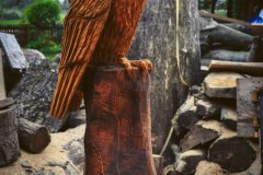 drevorezba-vyrezavani-carving-wood-drevo-socha-figura-busta-sova-radekzdrazil-20221018-03