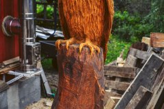 drevorezba-vyrezavani-carving-wood-drevo-socha-figura-busta-sova-radekzdrazil-20221018-07