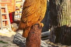 drevorezba-vyrezavani-carving-wood-drevo-socha-figura-busta-sova_vyr-radekzdrazil-20221109-03