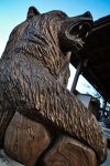 drevorezba-vyrezavani-carving-wood-drevo-socha-figura-medved_grizzly-radekzdrazil-20220415-010