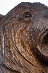 drevorezba-vyrezavani-carving-wood-drevo-socha-figura-medved_grizzly-radekzdrazil-20220415-05