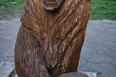 drevorezba-vyrezavani-carving-wood-drevo-socha-figura-medved_grizzly-radekzdrazil-20220415-01