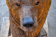 drevorezba-vyrezavani-carving-wood-drevo-socha-figura-medved_grizzly-radekzdrazil-20220415-016