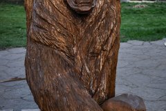 drevorezba-vyrezavani-carving-wood-drevo-socha-figura-medved_grizzly-radekzdrazil-20220415-03