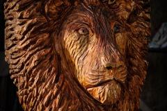 drevorezba-rezbar-lev-vyrezavani-carving-wood-drevo-socha-radekzdrazil-20200615-01