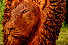 drevorezba-rezbar-lev-vyrezavani-carving-wood-drevo-socha-radekzdrazil-20200615-010