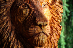 drevorezba-rezbar-lev-vyrezavani-carving-wood-drevo-socha-radekzdrazil-20200615-07