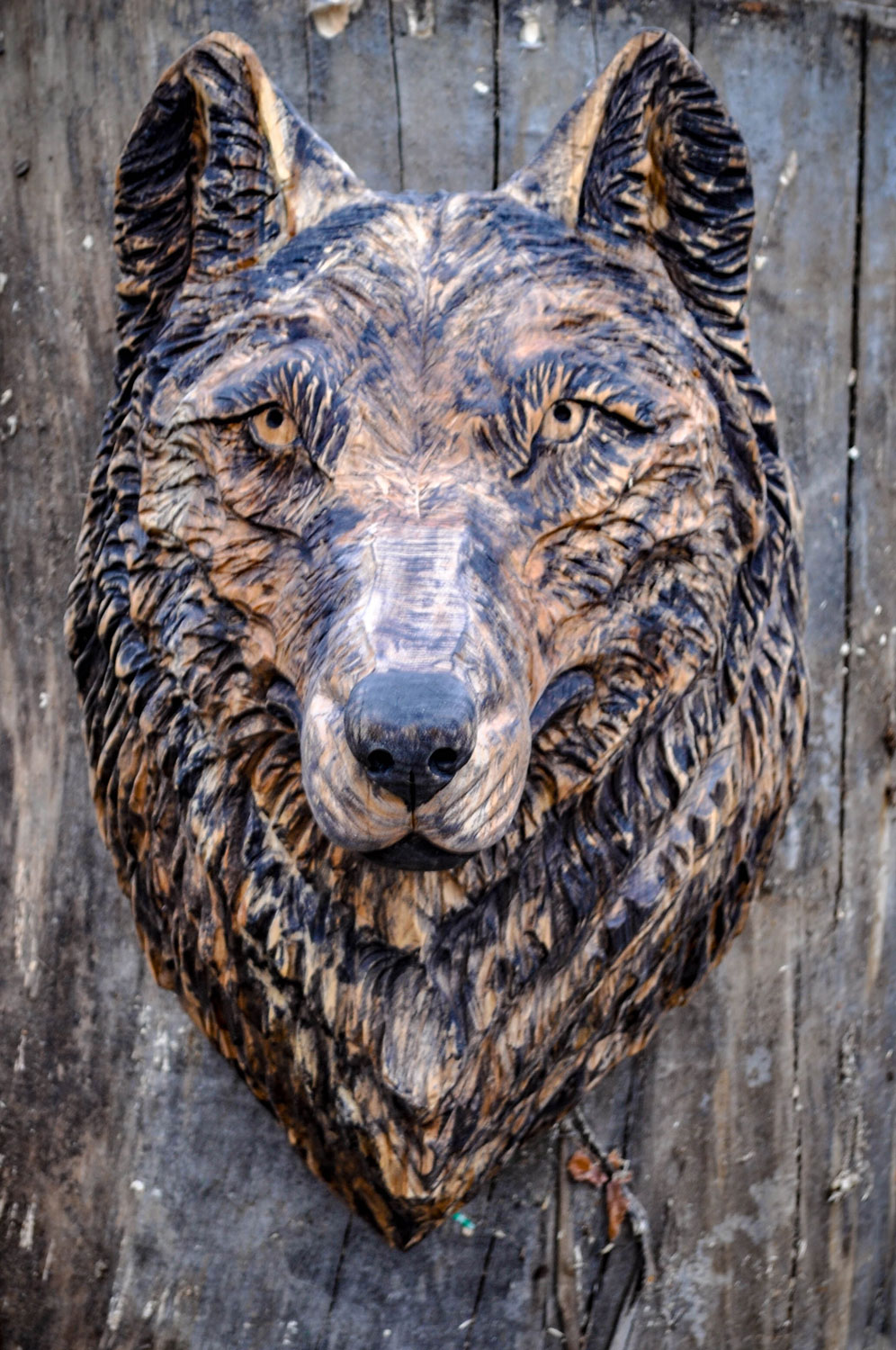 drevorezba-carving-wood-drevo-busta-vlk-hlava-vyrezavani-rezbar-radekzdrazil-20201102-01