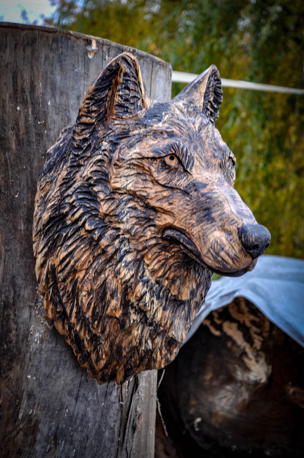 drevorezba-carving-wood-drevo-busta-vlk-hlava-vyrezavani-rezbar-radekzdrazil-20201102-02