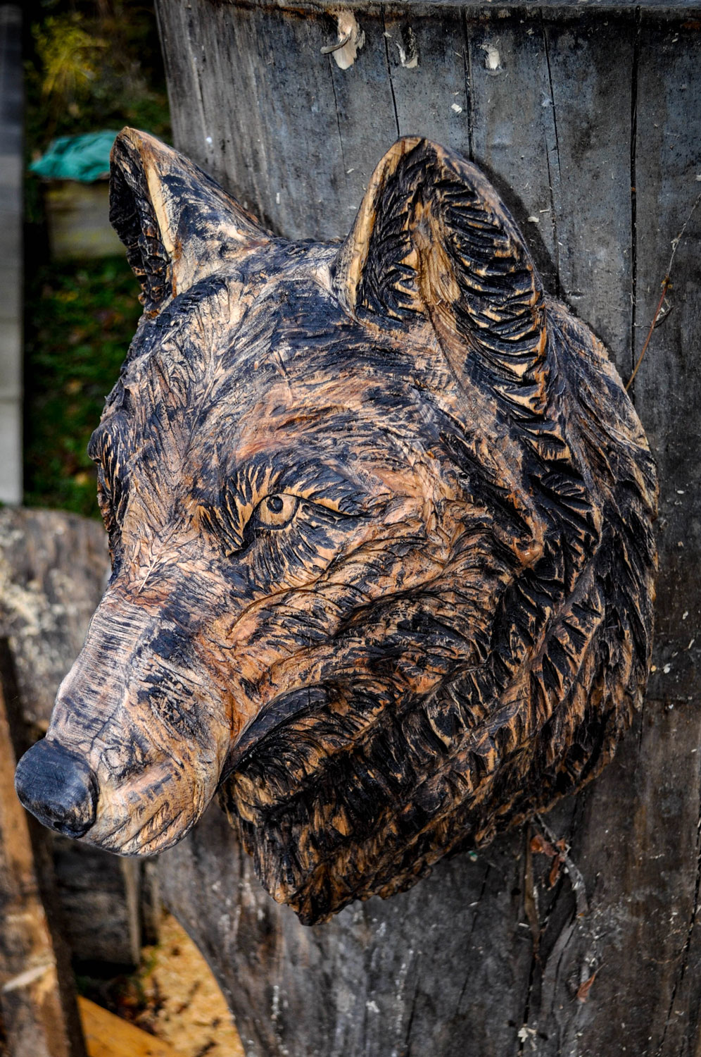 drevorezba-carving-wood-drevo-busta-vlk-hlava-vyrezavani-rezbar-radekzdrazil-20201102-06