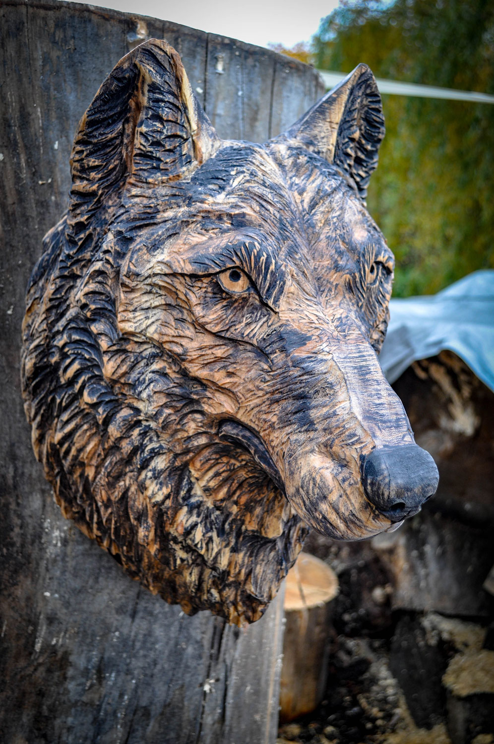 drevorezba-carving-wood-drevo-busta-vlk-hlava-vyrezavani-rezbar-radekzdrazil-20201102-07