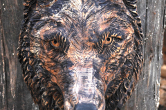 drevorezba-carving-wood-drevo-busta-vlk-hlava-vyrezavani-rezbar-radekzdrazil-20201102-03