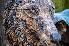 drevorezba-carving-wood-drevo-busta-vlk-hlava-vyrezavani-rezbar-radekzdrazil-20201102-07
