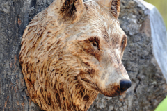 vlk-drevorezba-plastika-vyrezavani-carwing-woodcarving-trofej-hlava-radekzdrazil-20190331-05