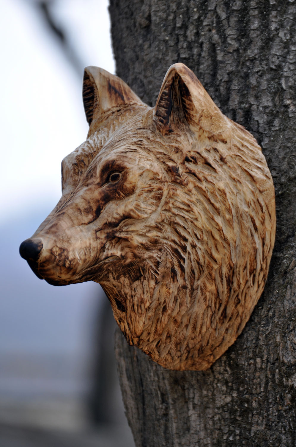 vlk-drevorezba-plastika-vyrezavani-carwing-woodcarving-trofej-hlava-radekzdrazil-20190331-02