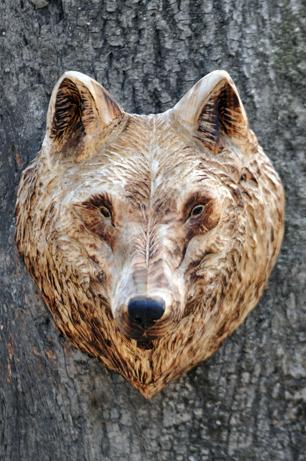 vlk-drevorezba-plastika-vyrezavani-carwing-woodcarving-trofej-hlava-radekzdrazil-20190331-04
