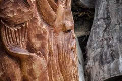 drevorezba-vyrezavani-carving-wood-drevo-socha-vcely-klat-radekzdrazil-20200520-010