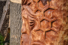 drevorezba-vyrezavani-carving-wood-drevo-socha-vcely-klat-radekzdrazil-20200520-012