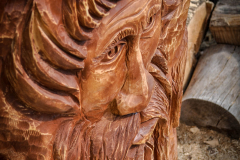 drevorezba-vyrezavani-carving-wood-drevo-socha-vcely-klat-radekzdrazil-20200520-08