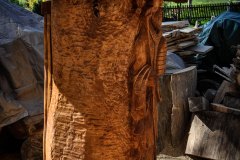 drevorezba-vyrezavani-carving-wood-drevo-socha-vceli-klat-ambroz-radekzdrazil-20210515-06