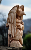 drevorezba-krkavec-vyrezavani-sochy-woodcarving-05