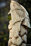 drevorezba-krkavec-vyrezavani-sochy-woodcarving-08