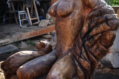 drevorezba-vyrezavani-carving-wood-drevo-socha-naha_pastyrka-radekzdrazil-20210910-04