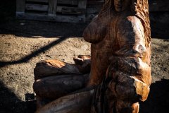 drevorezba-vyrezavani-carving-wood-drevo-socha-naha_pastyrka-radekzdrazil-20210910-05