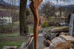 rezbar-drevorezba-vyrezavani-carving-wood-drevo-socha-115cm-radekzdrazil-20210320-03