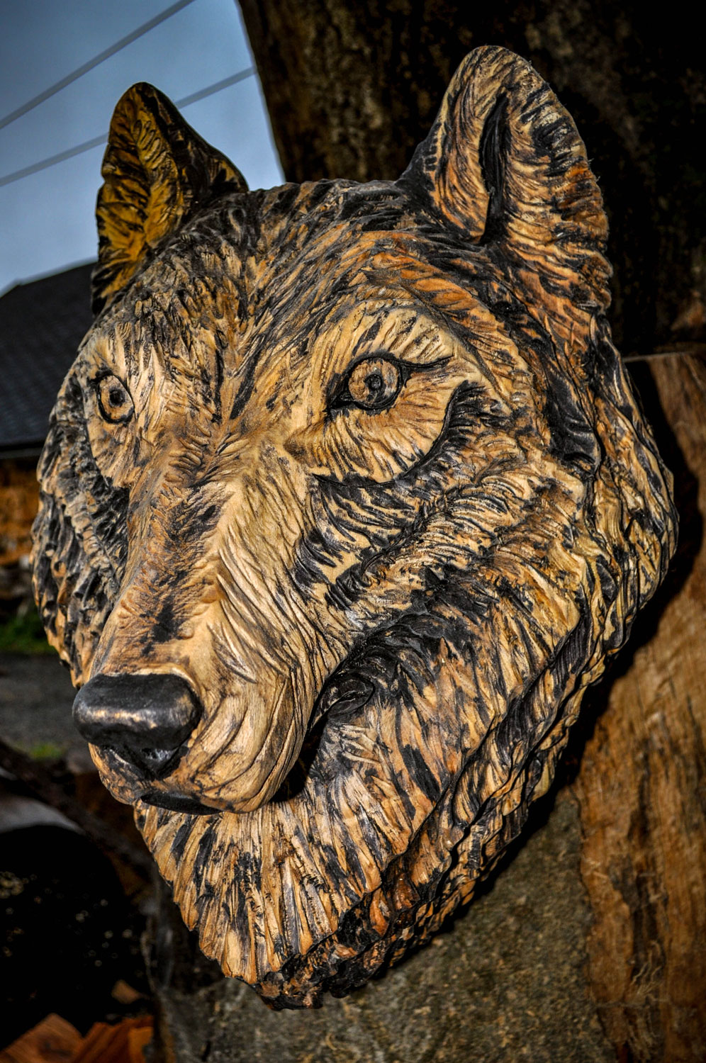 drevorezba-carving-wood-drevo-busta-vlk-hlava-vyrezavani-rezbar-radekzdrazil-013