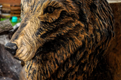 drevorezba-carving-wood-drevo-busta-vlk-hlava-vyrezavani-rezbar-radekzdrazil-04