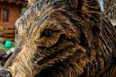 drevorezba-carving-wood-drevo-busta-vlk-hlava-vyrezavani-rezbar-radekzdrazil-05