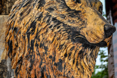 drevorezba-carving-wood-drevo-busta-vlk-hlava-vyrezavani-rezbar-radekzdrazil-06